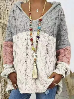 Casual Regular Color Block Hooded Long Sleeve Sweater - Image 1