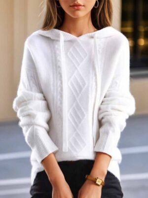 Casual Regular Fit Pure Colour Hooded Long Sleeve Knit Sweater - Image 4