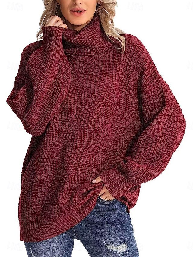 Casual Regular Pure Colour Ribbed Turtleneck Long Sleeve Pullover - Image 1