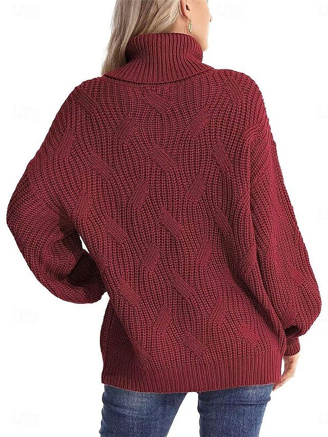 Casual Regular Pure Colour Ribbed Turtleneck Long Sleeve Pullover - Image 2