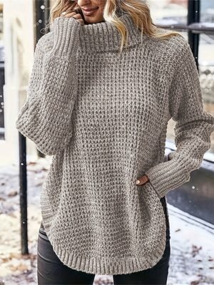 Casual Regular Pure Colour Turtleneck Long Sleeve Sweater - Image 1