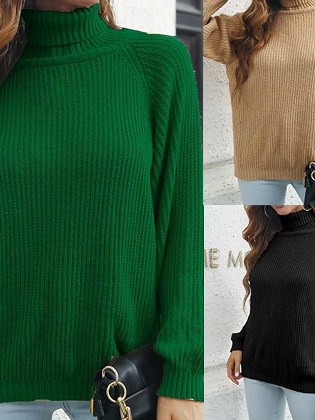 Casual Regular Solid Colour Turtleneck Long Sleeve Pullover - Image 1