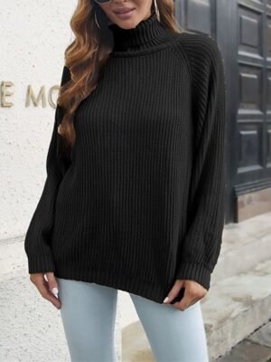 Casual Regular Solid Colour Turtleneck Long Sleeve Pullover - Image 9