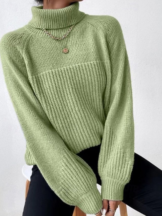 Casual Regular Solid Turtleneck Long Sleeve Regular Top - Image 1