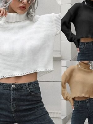 Casual Regular Solid Turtleneck Long Sleeve Crop Top - Image 1