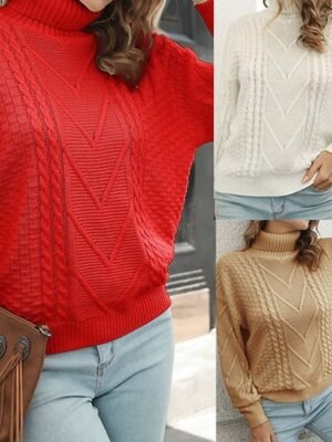 Casual Regular Solid Turtleneck Long Sleeve Pullover - Image 1