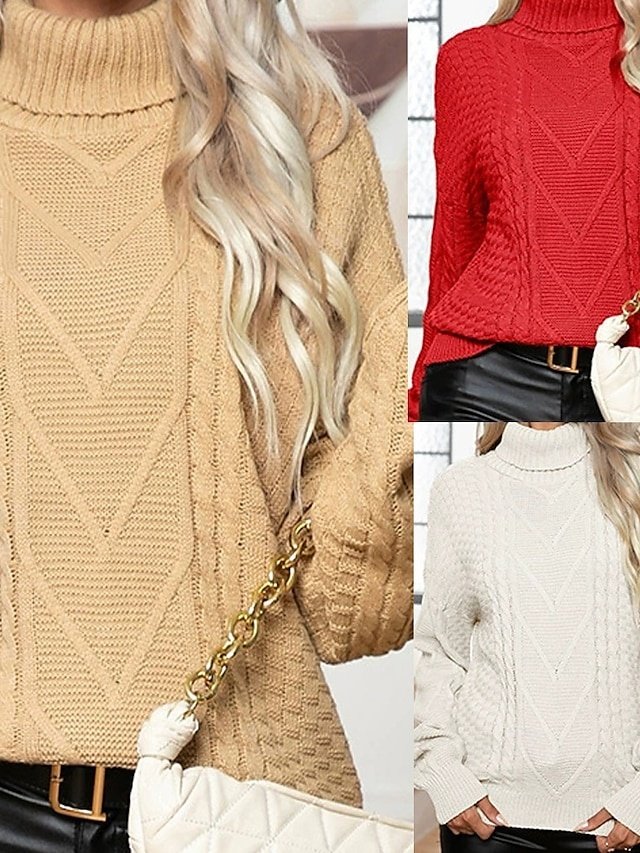 Casual Regular Solid Turtleneck Long Sleeve Regular Top - Image 1