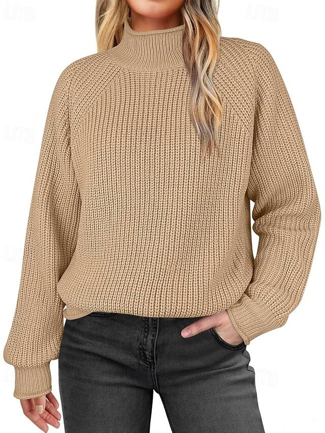 Casual Regular Solid Turtleneck Long Sleeve Sweater - Image 1