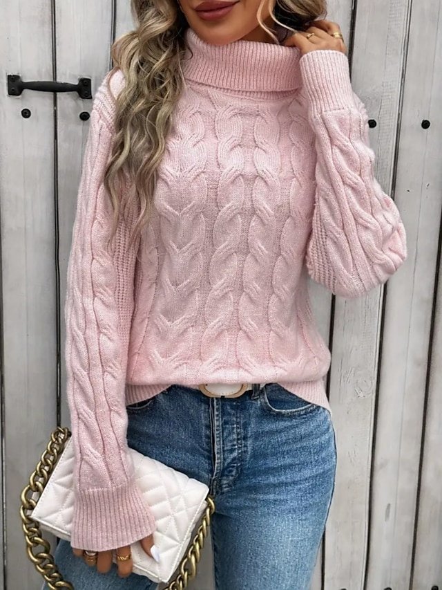 Casual Regular Solid Turtleneck Long Sleeve Regular Top - Image 1