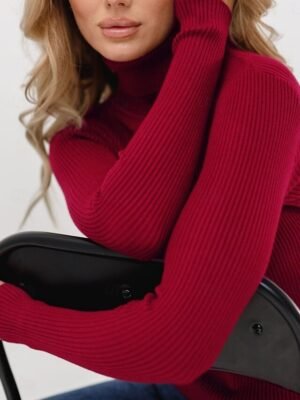 Casual Regular Solid Turtleneck Long Sleeve Regular Top - Image 13