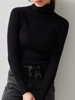 Casual Regular Solid Turtleneck Long Sleeve Regular Top - Image 6