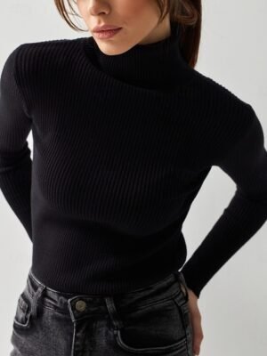 Casual Regular Solid Turtleneck Long Sleeve Regular Top - Image 7