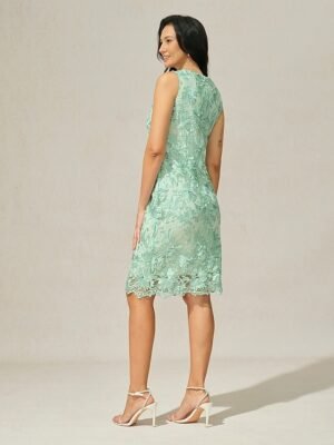 Elegant Formal Lace V Neck 3/4 Sleeve Mini Dress - Image 4