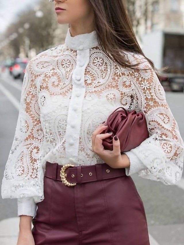 Elegant Vintage Lace-up Long Sleeve Regular Blouse - Image 1