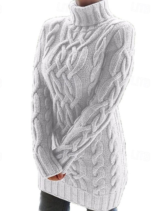 Fashion Regular Solid Turtleneck Long Sleeve Sweater - Image 1